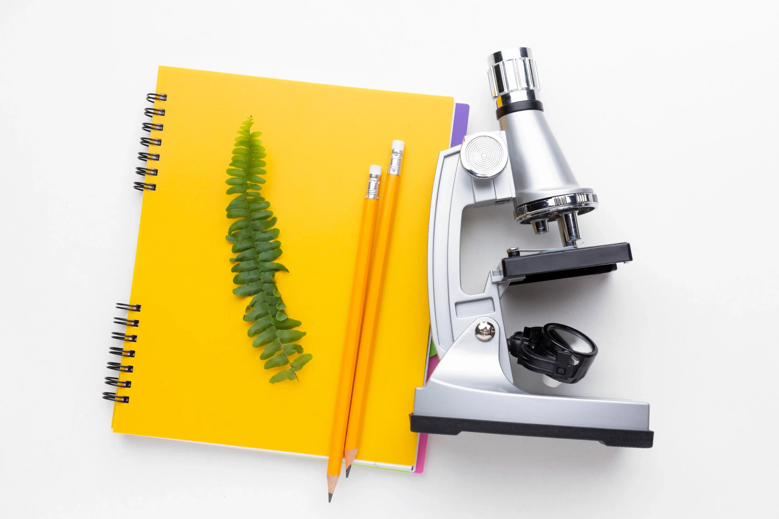 Есе з біології