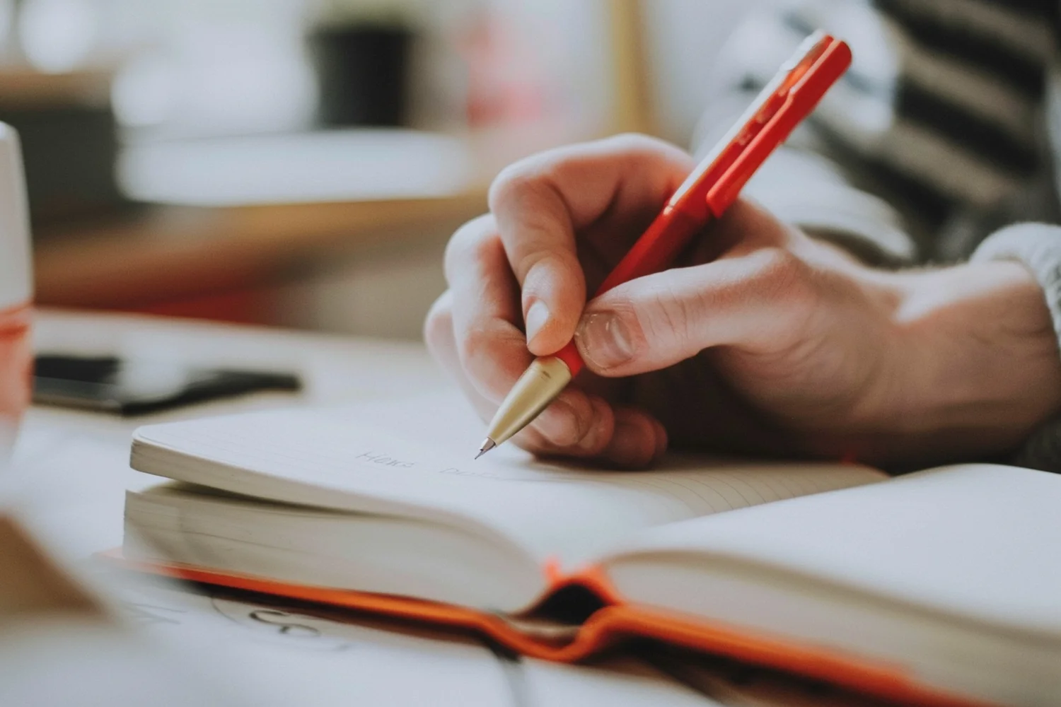 Реферат з анатомії