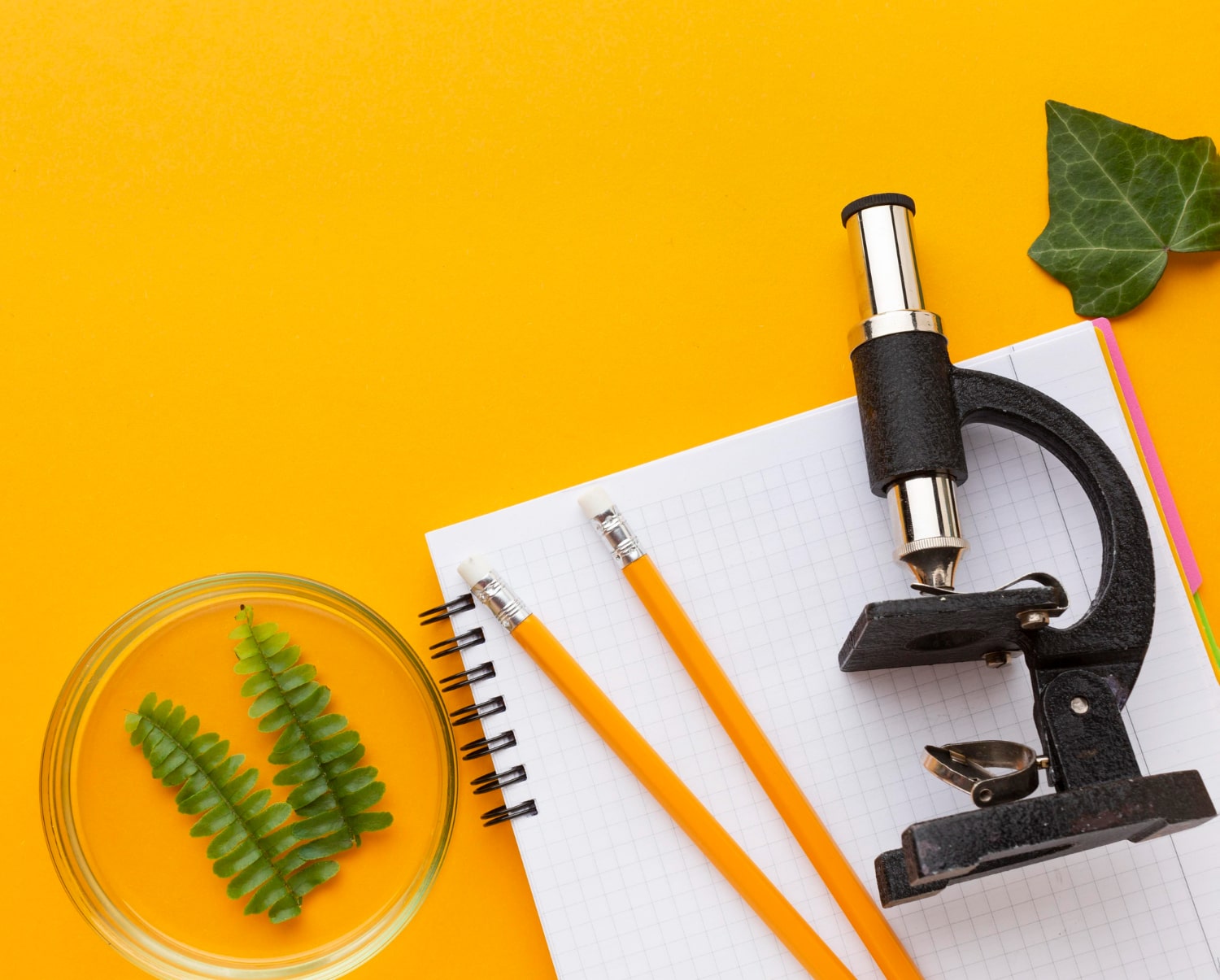 Реферат з біології